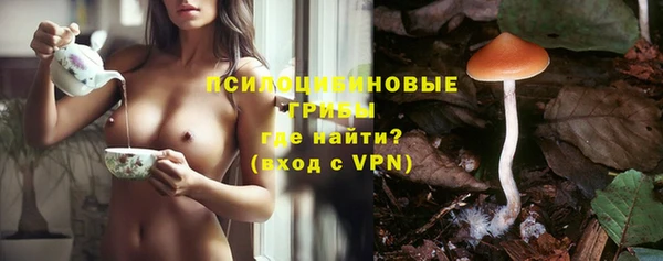 первитин Кодинск