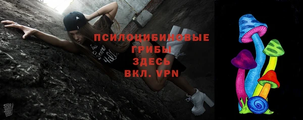 гидра Бородино
