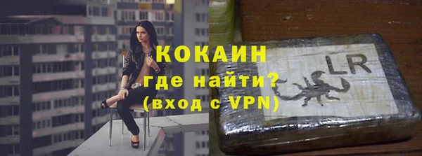 стаф Козловка