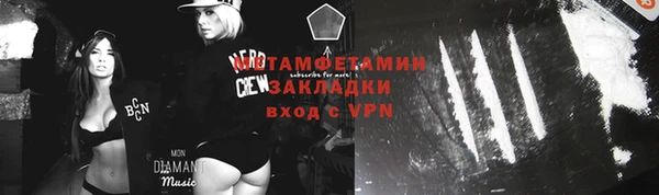 стаф Козловка
