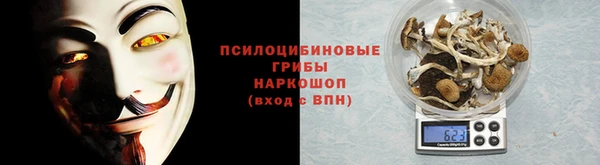 гидра Бородино
