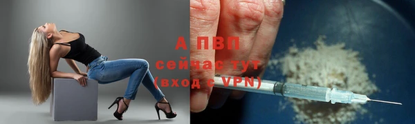 гидра Бородино