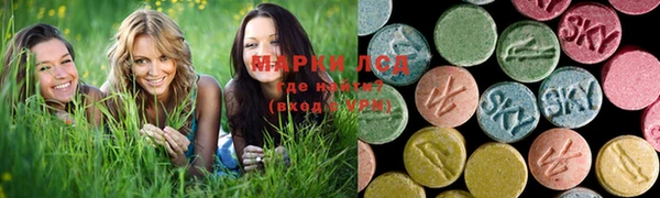 гидра Бородино
