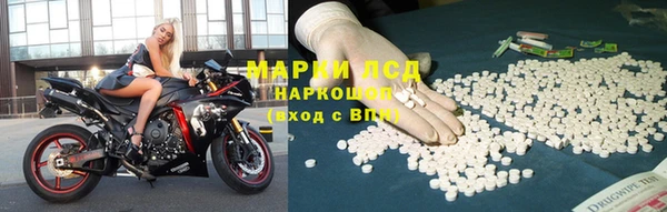 гидра Бородино