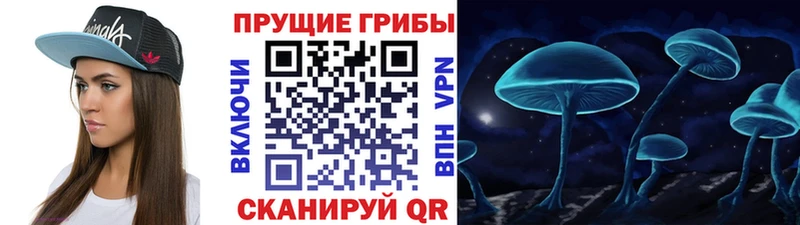 Галлюциногенные грибы GOLDEN TEACHER  Славгород 